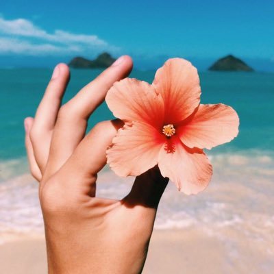 ParamitaPim14's profile picture. ภาพยนตร์