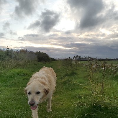 kev_mcconnell's profile picture. And I am not frightened of dying, any time will do, I 
don't mind. Why should I be frightened of dying? 
There's no reason for it, you've gotta go sometime.