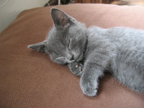 Poelepoele's profile picture. Ik besta zo'n 5 minuten nu ik dit schrijf.