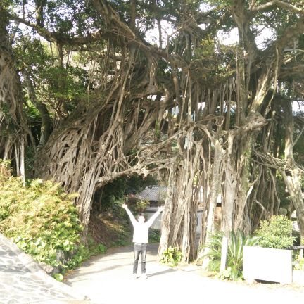 kekke_ama's profile picture. 無言フォロー失礼します。
ゆかり王国民です！ぼっち界のぼっちofぼっち/ゆかりんのライブに行くため頑張って働く！/旅行とご飯と山登りが好き/ルートビア中毒