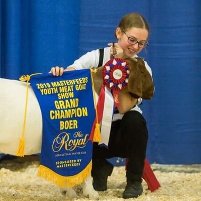 WinsomeWillows's profile picture. 