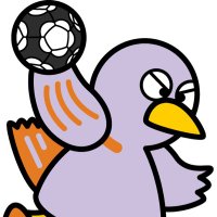 【公式】埼玉県ハンドボール協会 大会結果 (@saitama_hand) Twitter profile photo