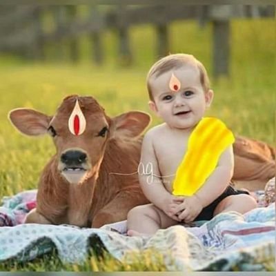 Gajendr81301936's profile picture. life begining