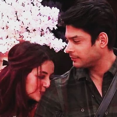 Nobodys94029262's profile picture. 