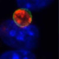 Lutter Lab (@lutter_lab) 's Twitter Profile