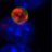 lutter_lab's profile image