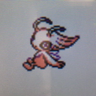 しらたま ポケモン垢 つぶらなひとみ ポケモン剣盾 色違い Shinypokemon