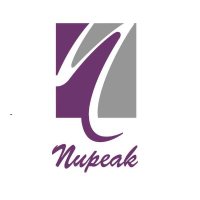 NUPEAK IT SOLUTIONS LLP(@LlpNupeak) 's Twitter Profile Photo