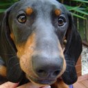 Adrienne Daena Alter - @AndyCapp1997 - Twitter