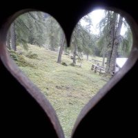 Marion Silies (@marion_silies) 's Twitter Profile