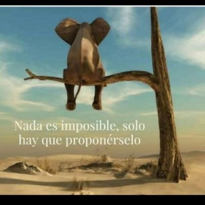 davidgarcilo's profile picture. estudiante de magisterio, mi pasión de viajar, la amistad y el deporte... nunca te arrepientas por lo que hagas, sonríe por ello y afronta los errores 💪
