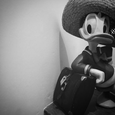 SteCha17's profile picture. Orthopaedic sales rep.  before 😃 École 42 Paris in 2019 👩🏽‍💻  Bootcamp Data analyst is 2020 🐍🆒 Data enthusiast✨🍀 Looking for a Data Job 👻 😋Time Hacker