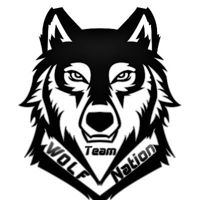 Twitch Team | WolfNation | If you wanna apply or join then join this discord https://t.co/mCoPjKS32o