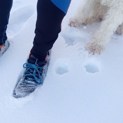 Uveeme4's profile picture. Vector Biomimesis