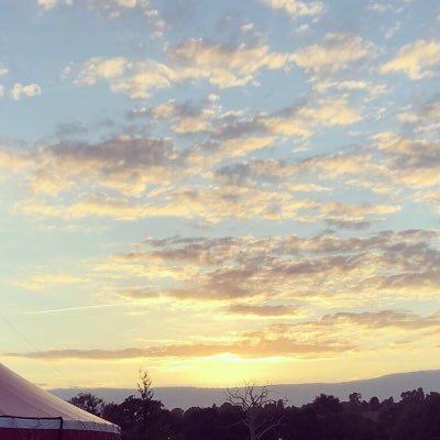 jo62994365's profile picture. A human...