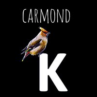 Carmond K(@Carmond_K) 's Twitter Profileg