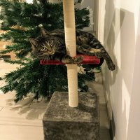 Mickaël (@mimicktweet) 's Twitter Profile Photo