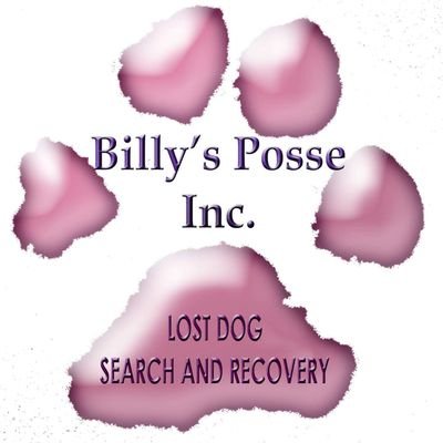Billy's Posse Lost Dog Search Team helps find missing dogs. A 501c3 nonprofit serving SE Wisconsin counties. https://t.co/GcRCJE3GjE