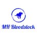 M H Bloodstock And Racing Services (@MattHuntington3) Twitter profile photo