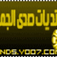 aisha eid (@echostands) Twitter profile photo