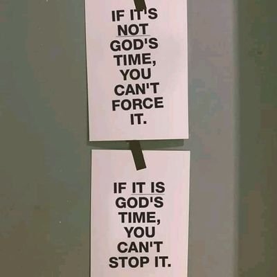 jay_sibabird's profile picture. ⭐