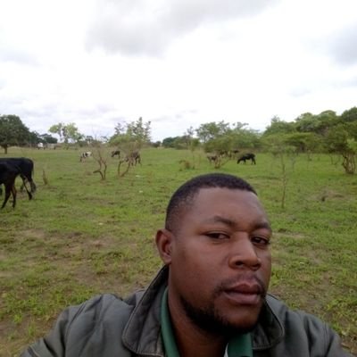 Mambwesq's profile picture. I love to love people.