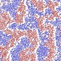 Vaikuntanathan Lab (@suri_lab) 's Twitter Profile Photo Vaikuntanathan Lab (@suri_lab) 's Twitter Profile Photo