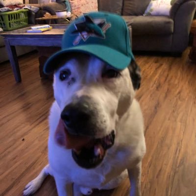 NYoung94464874's profile picture. I’m a coffee roaster with a passion for learning and empowering others.