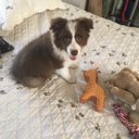 clyde lance - @clydelance3 - Twitter