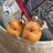 shake_ke0403