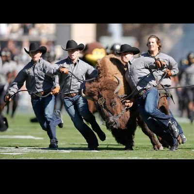 Crbacker's profile picture. 