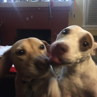 SmallJahsun8's profile picture. Yale Law School, but good. Ideal theorist, true b boy apostle son! Black as space time.