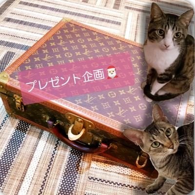 AMO04180091's profile picture. 20代.犬猫飼ってます🐶🐱動物の資格あり。
化粧品やギフトカードなどのプレゼント企画をしてます🎅🏻
無料、有料それぞれの副業のサポートしています。気になる方はいつでもDMください！
相談だけでも👌