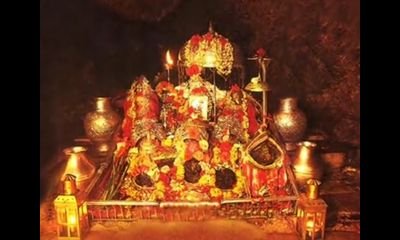 shilpigera82's profile picture. counselor