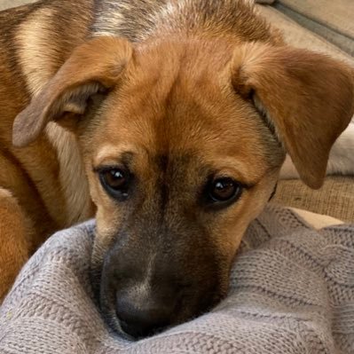 DGWeisman's profile picture. 