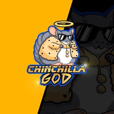 #TwitchAffiliate variety streamer. Play some BRs, SoulsLike, MMOs, FPS’ etc. Find me anywhere people “socialize” and make sure to come #Chinchill w me in stream