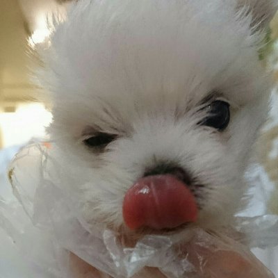 QWyPUw0RvwCn0Al's profile picture. CNNEEと準１級のリスニングに力を入れる！検定とニュースの勉強両立したい！
目標は準１合格し、ニュースの意見を言えるようになること！