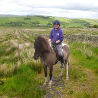 ScottishEquestrian (@scottishequest) 's Twitter Profile