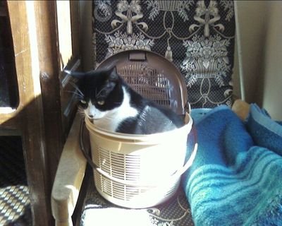 gmbinf's profile picture. Rêve d'une justice sociale et d'un monde juste où plus personne ne dormirait dans la rue ou mourrait de faim ..