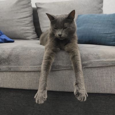 closedchanges's profile picture. батько