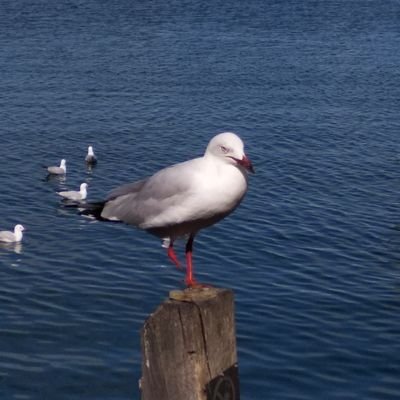 木上海鷗さんのプロフィール画像