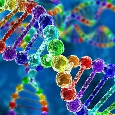 HrsDna's profile picture. 