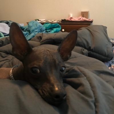 NLewHoo's profile picture. 