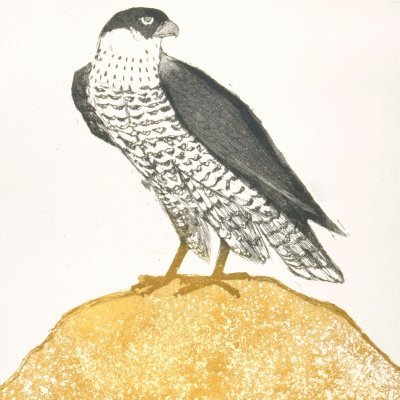 Thanh_DCung's profile picture. 