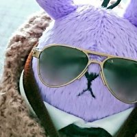 ねここ🕶️✨ (@aimkz) 's Twitter Profile Photo ねここ🕶️✨ (@aimkz) 's Twitter Profile Photo