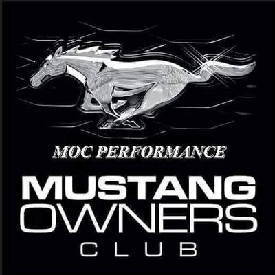 Mustang_Klaus Profile Picture
