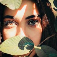 ريمية (@lazarull) 's Twitter Profile