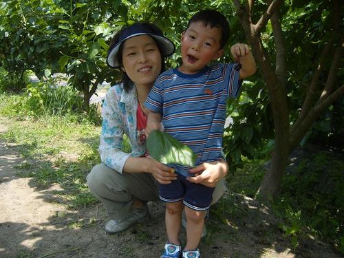 신랑과 함께 귀농하여 친환경으로 오디,복분자,야콘,둥근마(둥근대마)등을 재배하며 자연과 함께.~~