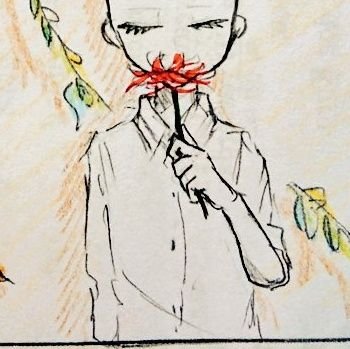 七夕さんのプロフィール画像