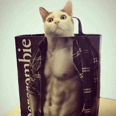 Yz9oGWIKEd80nAP's profile picture. 成人済み ふぁぼ魔&布教魔です 永久鍵 主に🌈か百合いろいろ シャニマスも むぎちゃんを超えた就労経験!!!